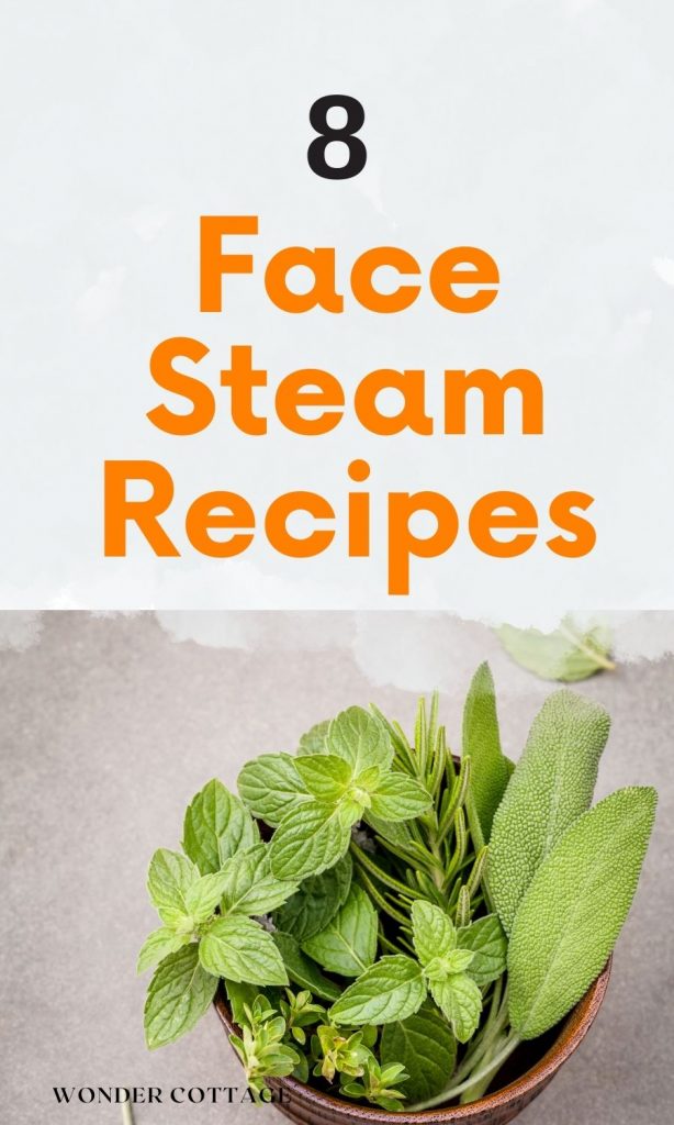 face steam recipes