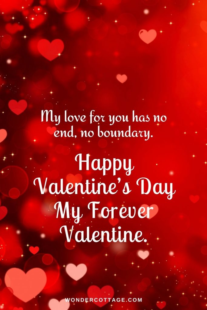My love for you has no end, no boundary. Happy Valentine’s Day my forever valentine.