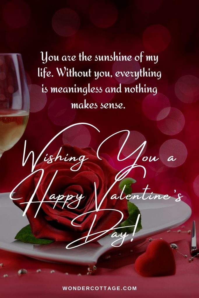 You are the sunshine of my life. Without you, everything is meaningless and nothing makes sense. Wishing you a happy valentine’s day!