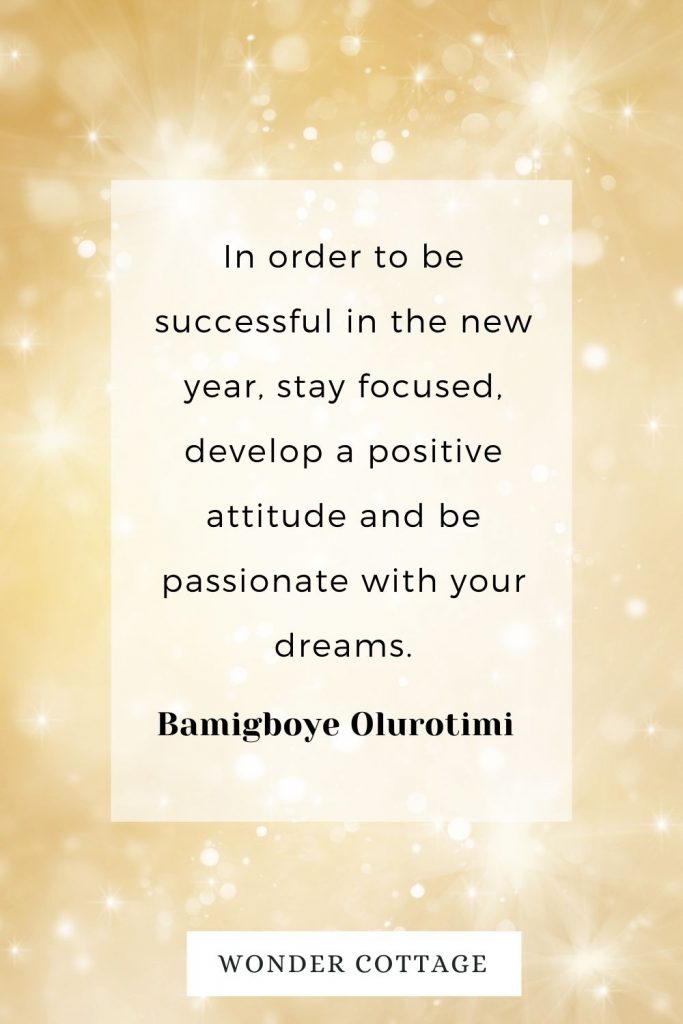 In order to be successful in the new year, stay focused, develop a positive attitude and be passionate with your dreams. Bamigboye Olurotimi