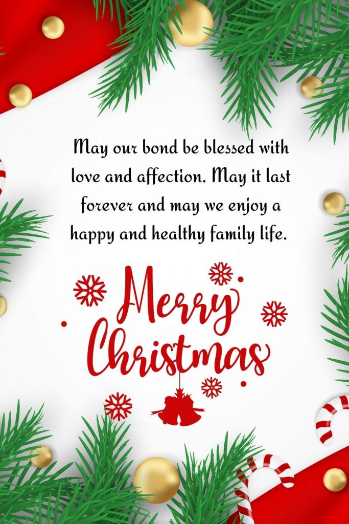 May our bond be blessed with love and affection. May it last forever and may we enjoy a happy and healthy family life. Merry Christmas to you!