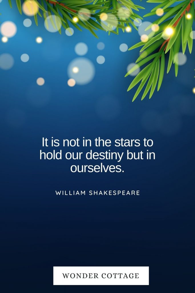 It is not in the stars to hold our destiny but in ourselves. William Shakespeare