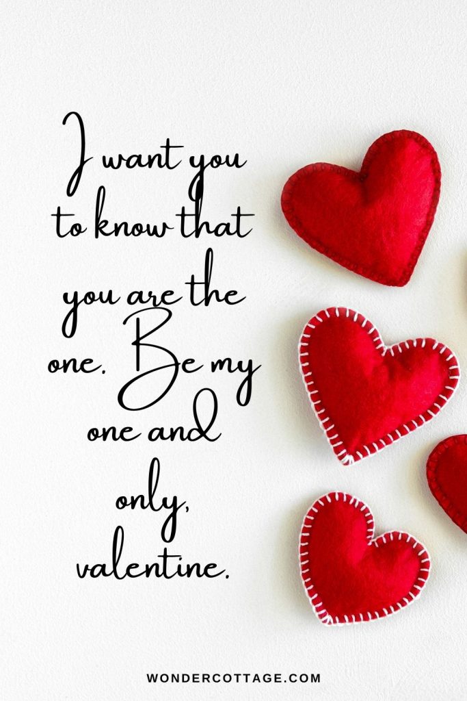 I want you to know that you are the one. Be my one and only, valentine.