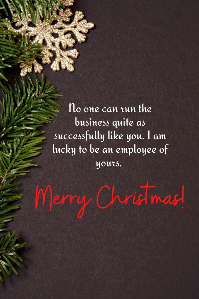 No one can run the business quite as successfully like you. I am lucky to be an employee of yours. Merry Christmas, dear boss!
