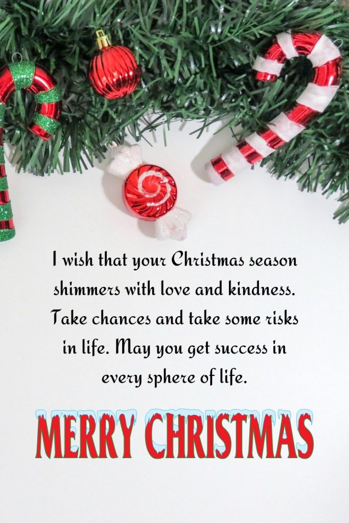 I wish that your Christmas season shimmers with love and kindness. Take chances and take some risks in life. May you get success in every sphere of life. Merry Christmas! 
