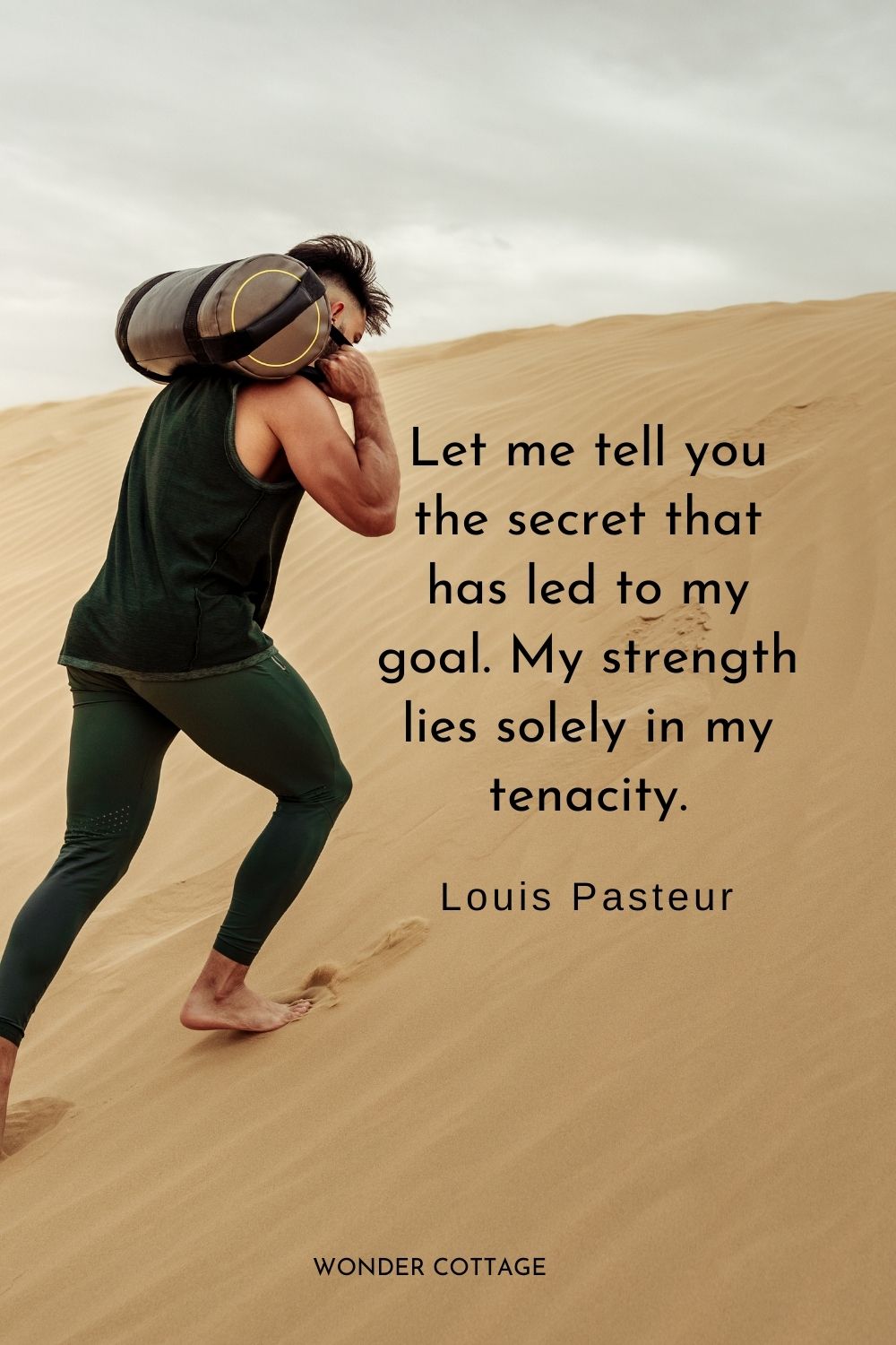 Let me tell you the secret that has led to my goal. My strength lies solely in my tenacity. Louis Pasteur 