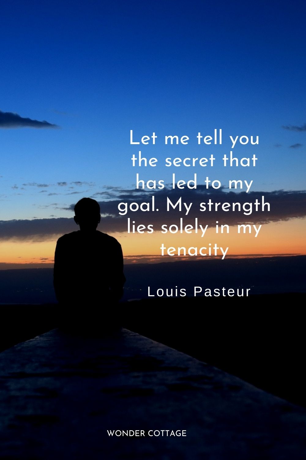 Let me tell you the secret that has led to my goal. My strength lies solely in my tenacity.  Louis Pasteur
