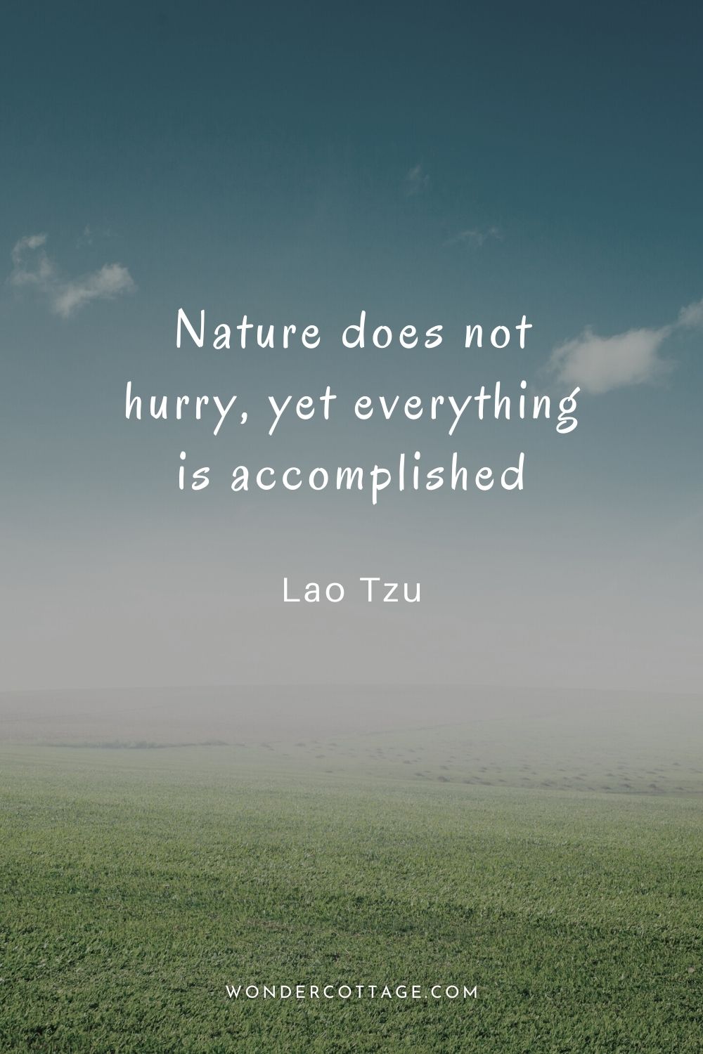 Nature does not hurry, yet everything is accomplished.  Lao Tzu