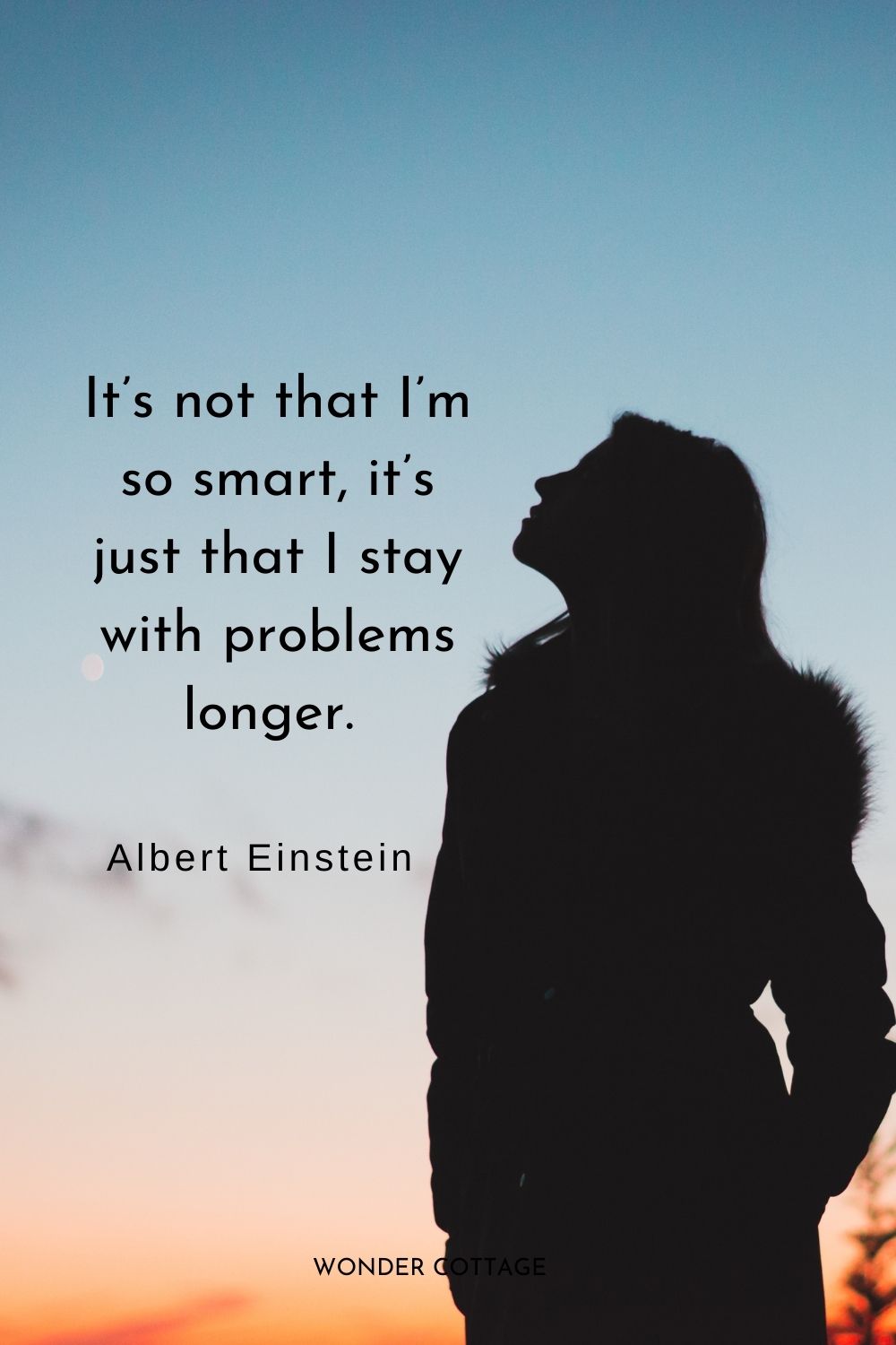 It’s not that I’m so smart, it’s just that I stay with problems longer.  Albert Einstein