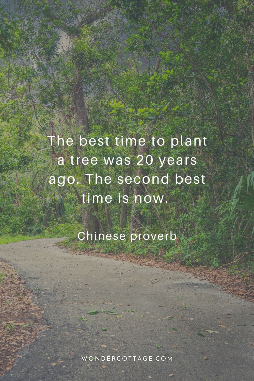 The best time to plant a tree was 20 years ago. The second best time is now.  Chinese proverb