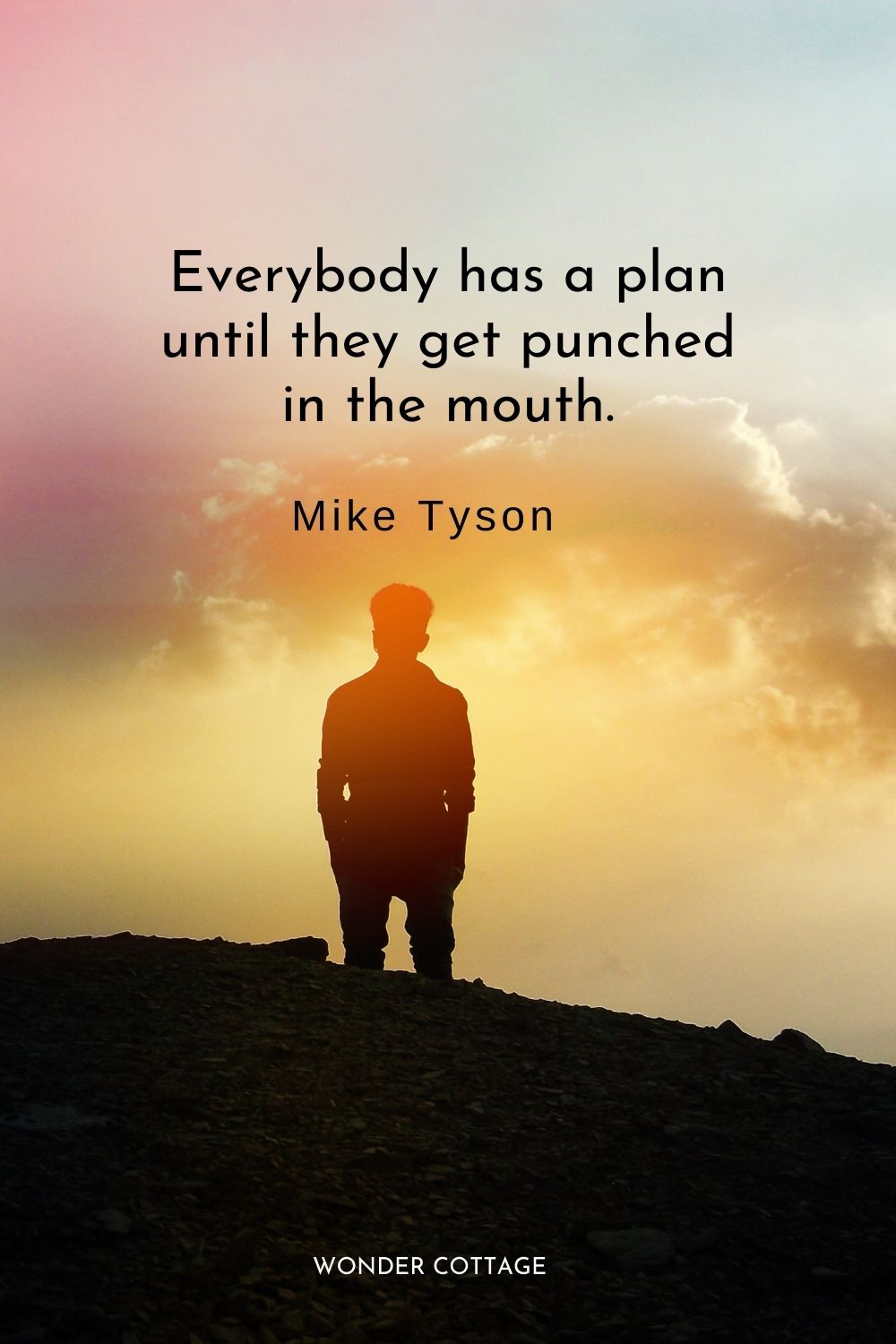 Everybody has a plan until they get punched in the mouth. Mike Tyson