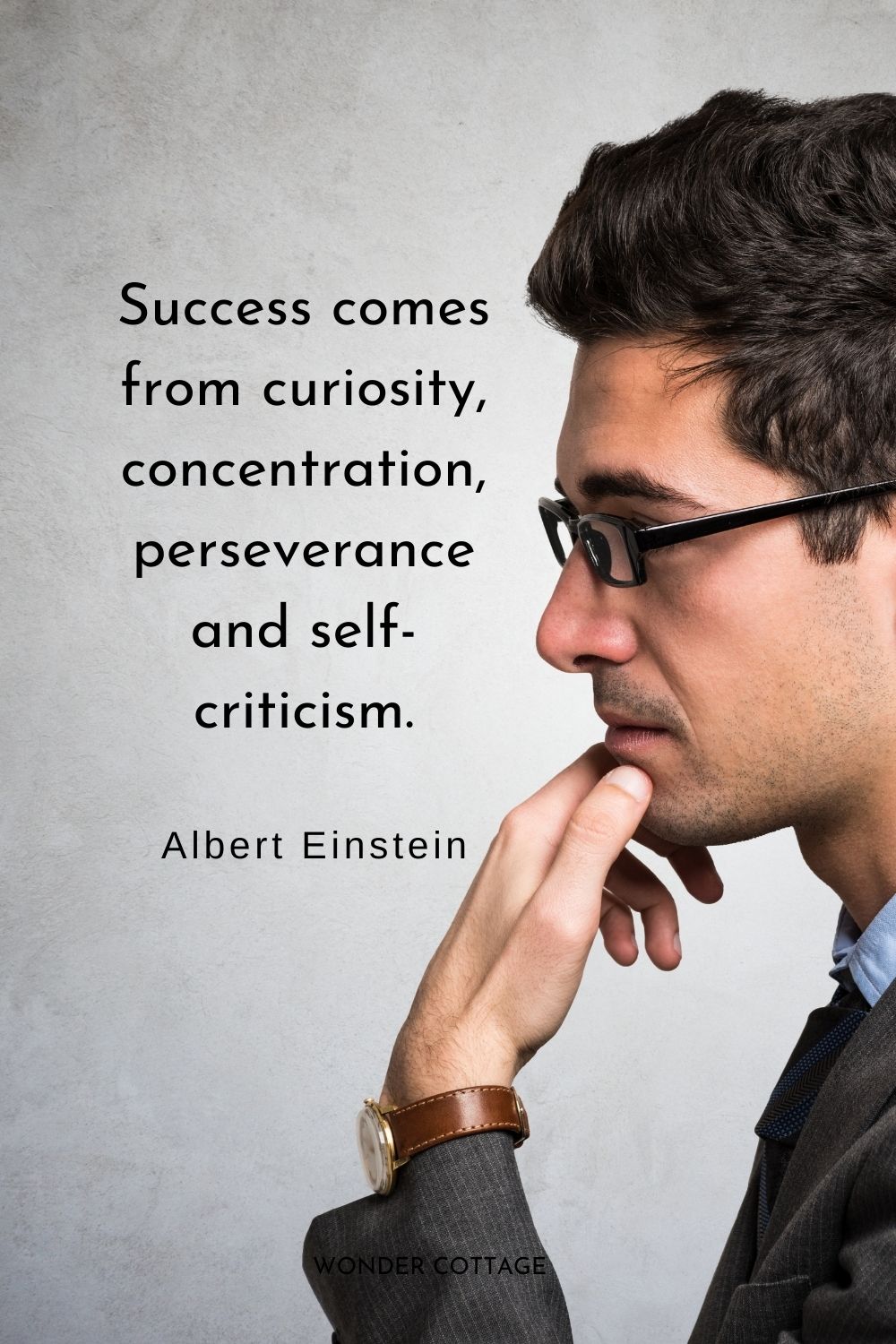 Success comes from curiosity, concentration, perseverance and self-criticism.  Albert Einstein