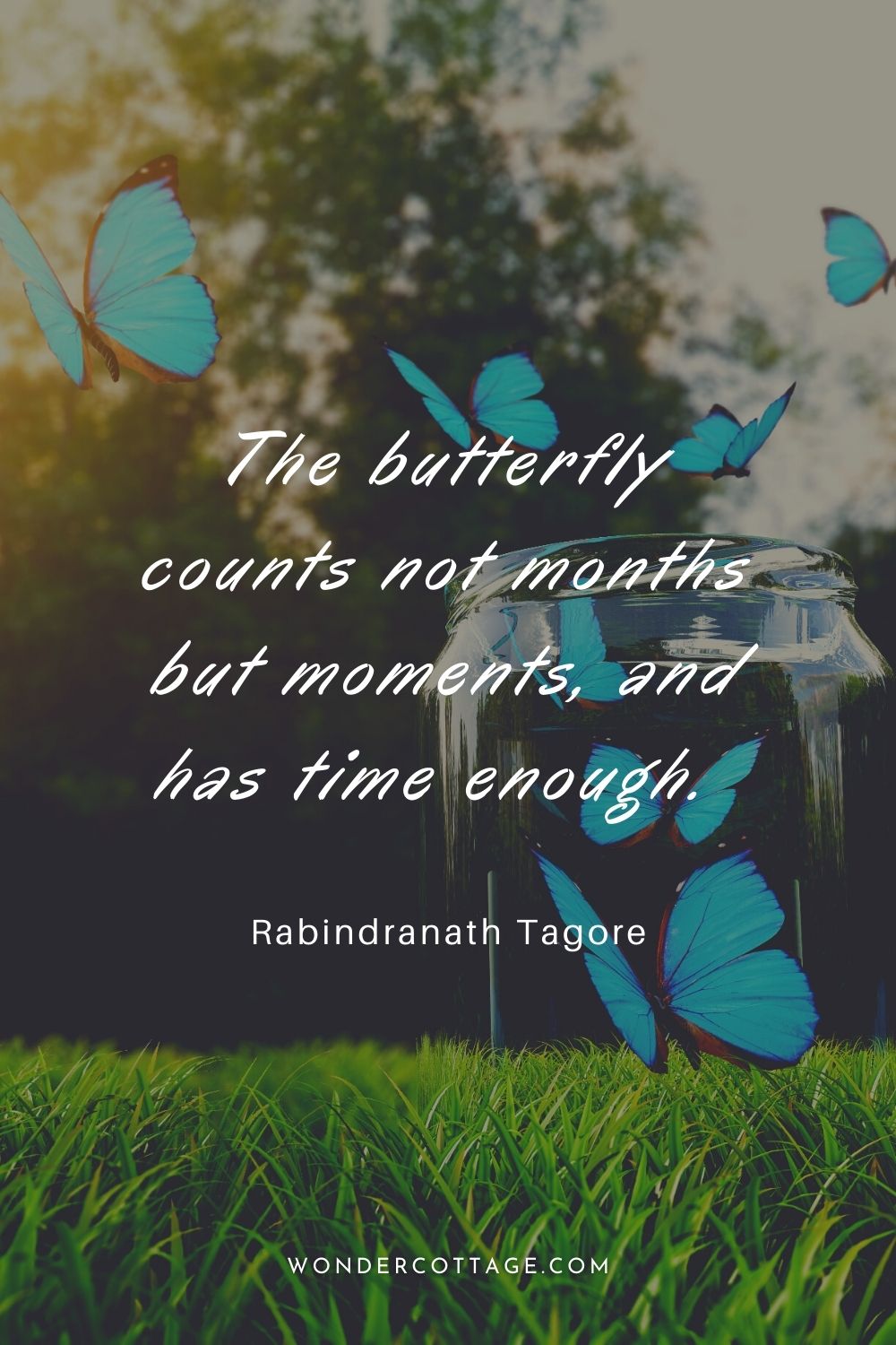 The butterfly counts not months but moments, and has time enough.  Rabindranath Tagore