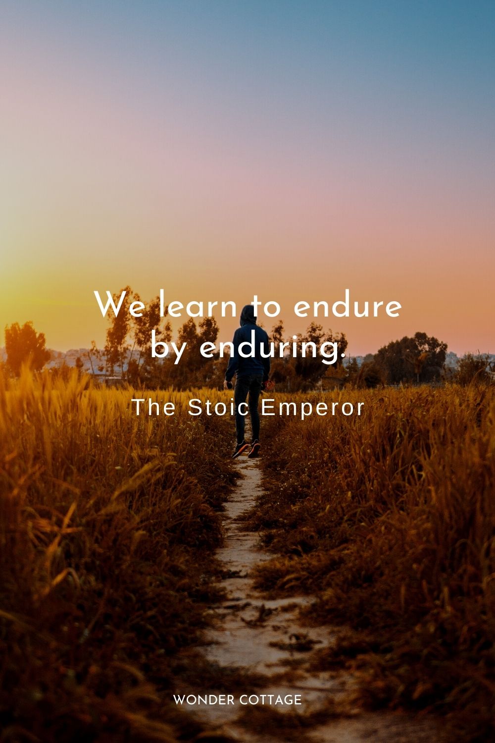We learn to endure by enduring. The Stoic Emperor