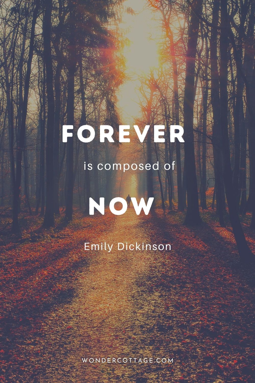 Forever is composed of now. Emily Dickinson