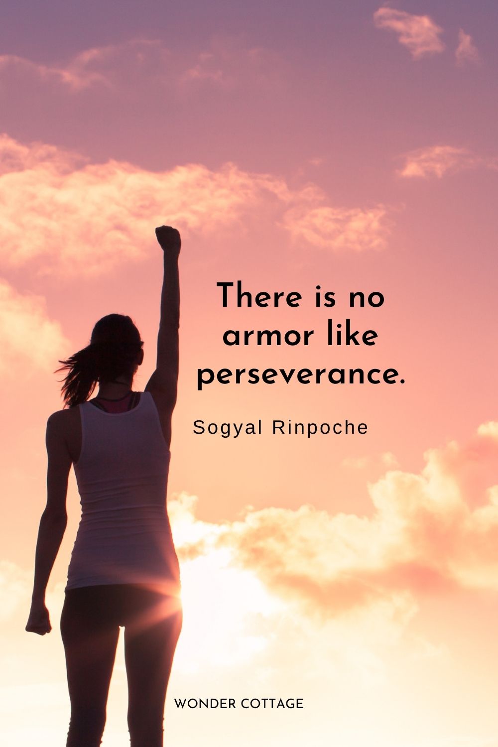 There is no armor like perseverance.  Sogyal Rinpoche