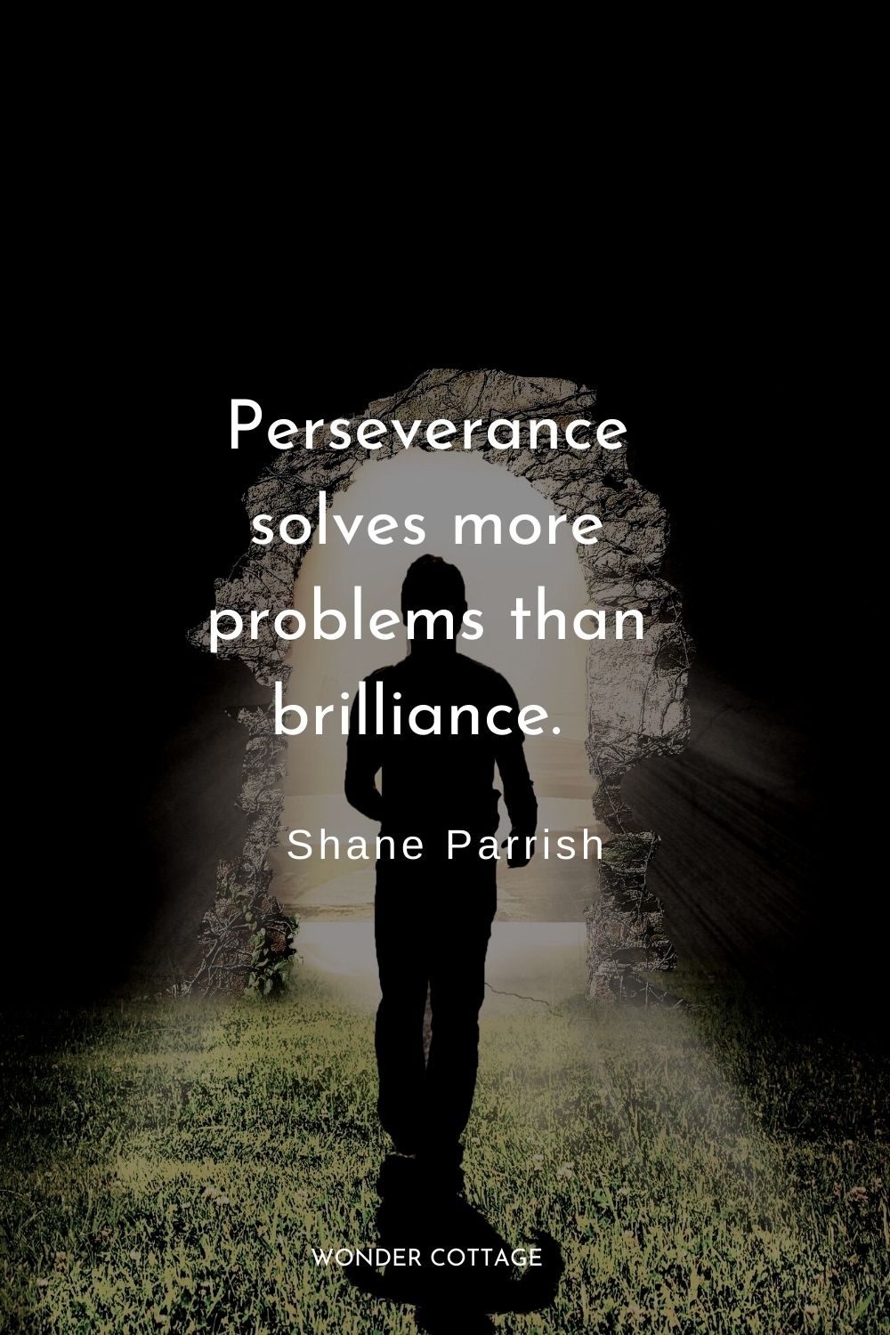 Perseverance solves more problems than brilliance.  Shane Parrish