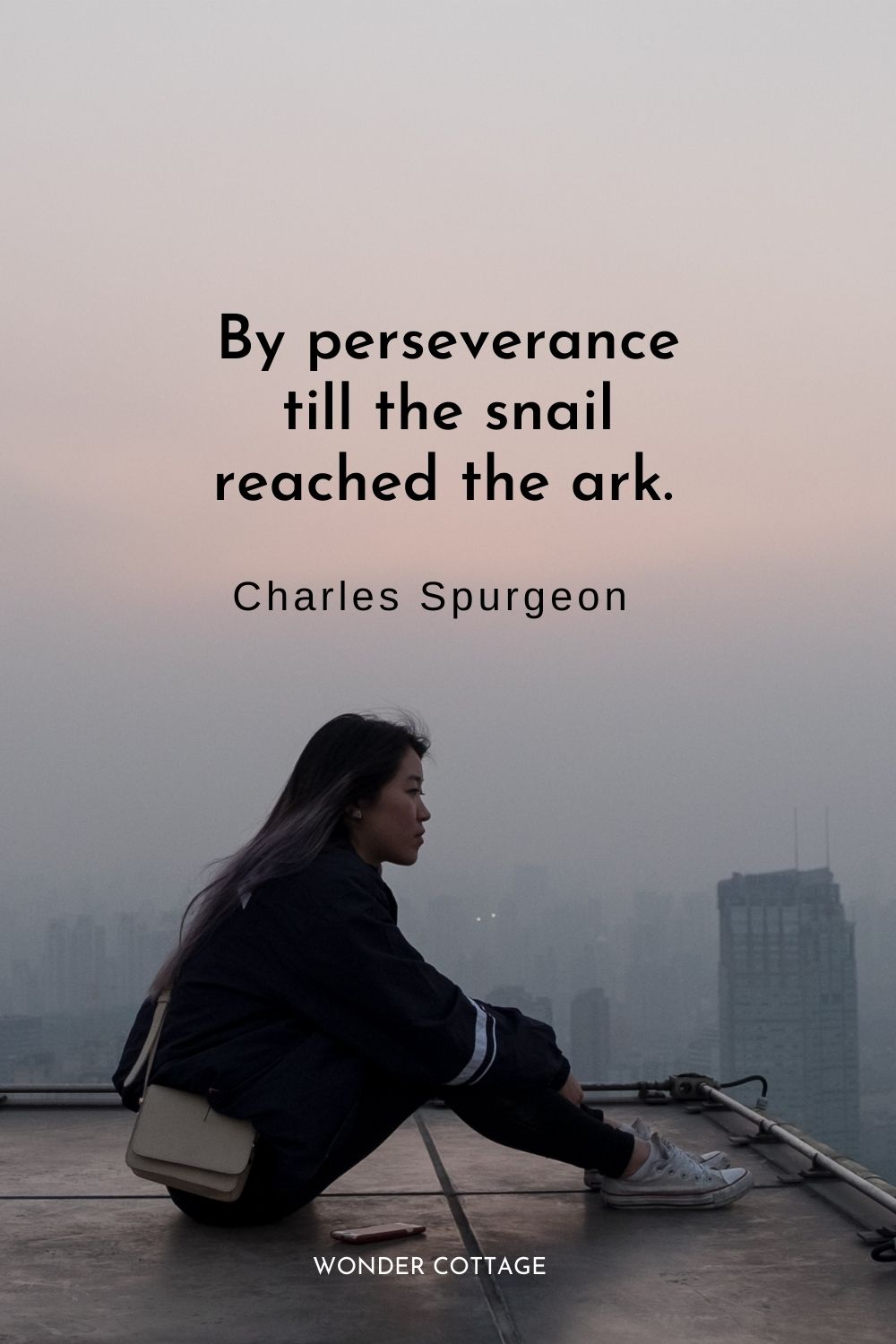 By perseverance till the snail reached the ark.  Charles Spurgeon