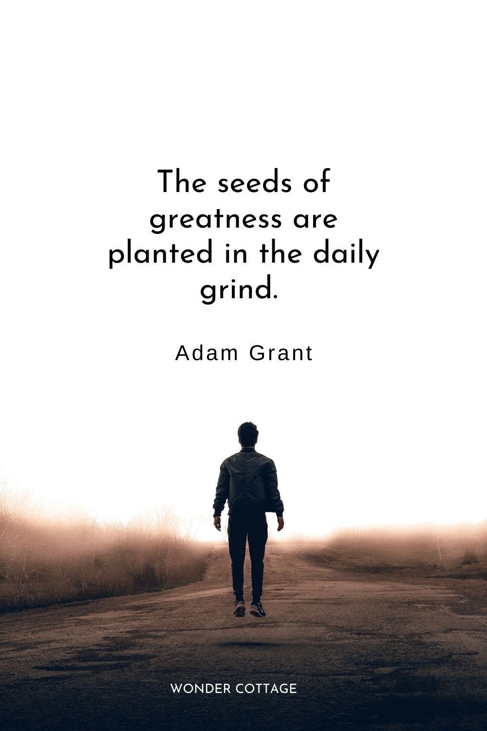 The seeds of greatness are planted in the daily grind.  Adam Grant