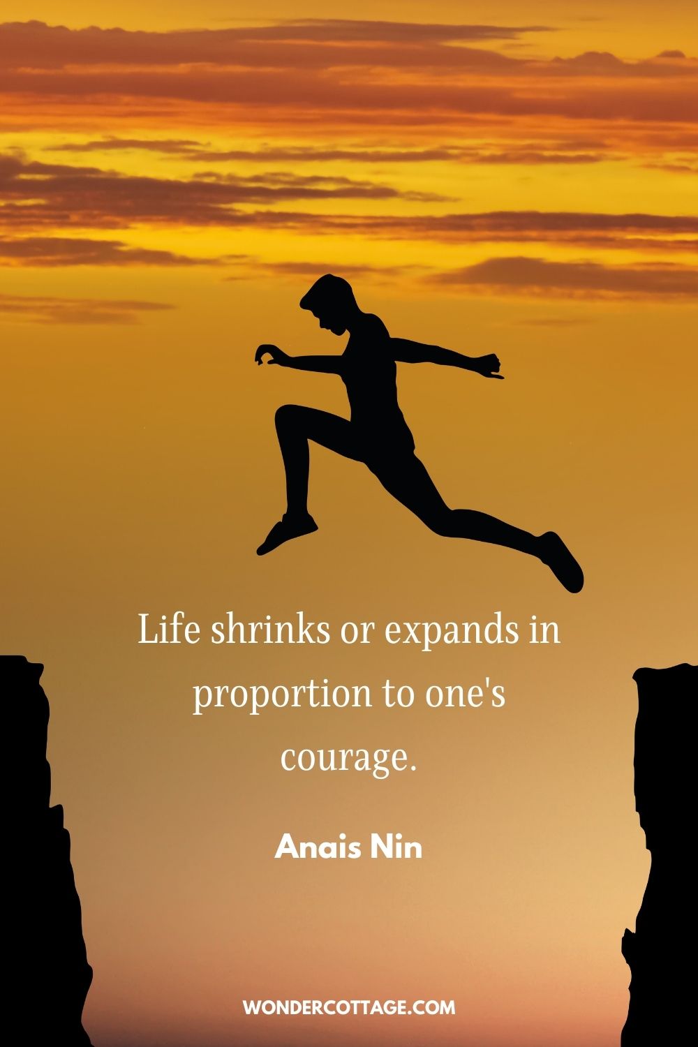 Life shrinks or expands in proportion to one's courage. Anais Nin
