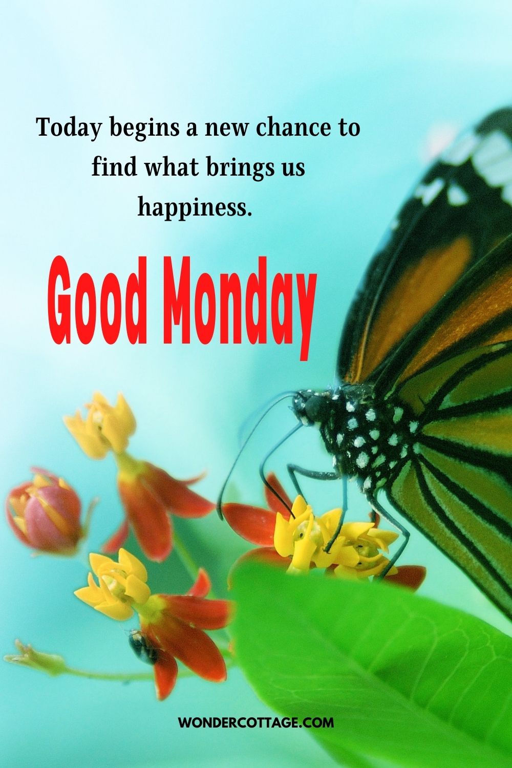 Today begins a new chance to find what brings us happiness. Good Monday