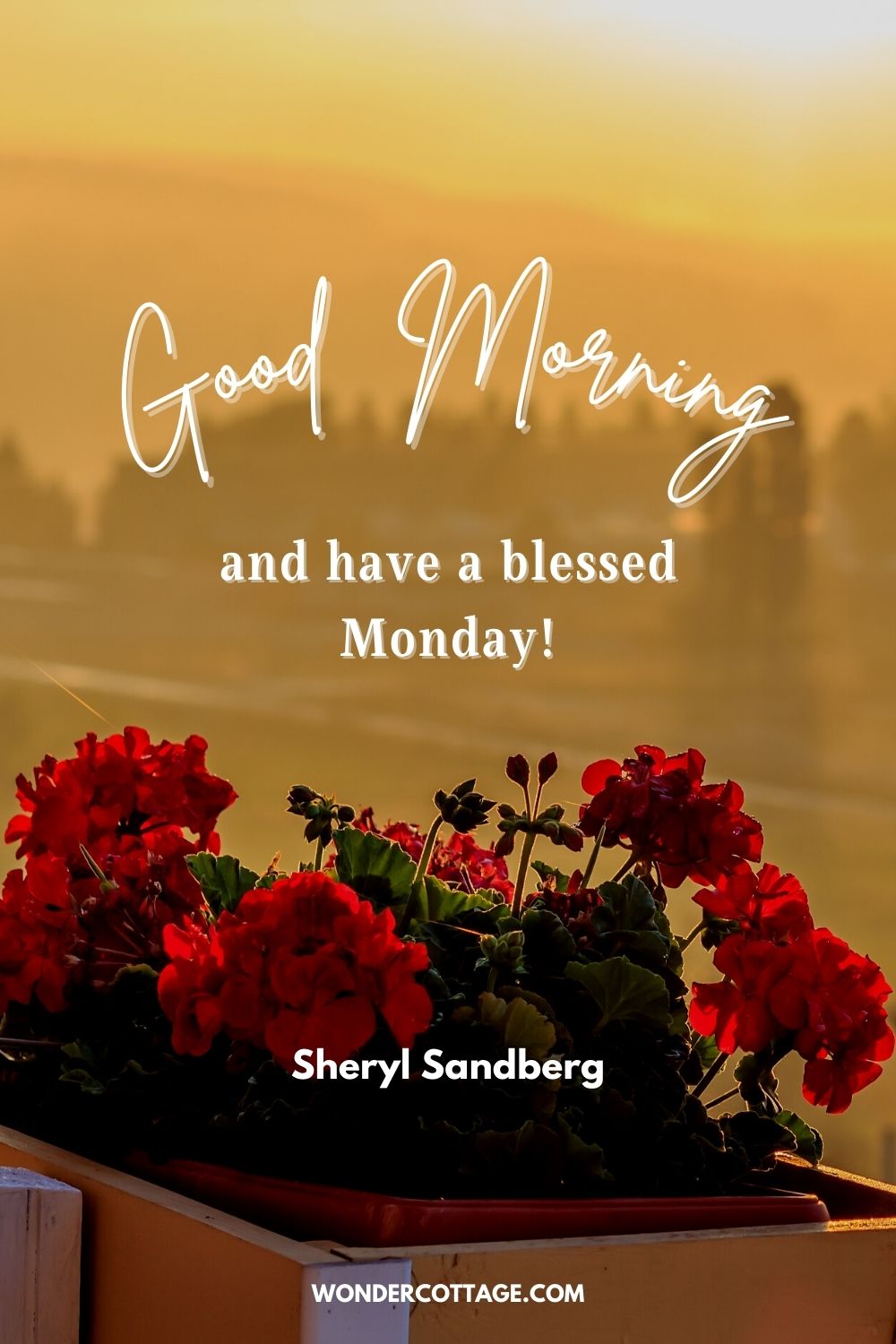 Good morning and have a blessed Monday!