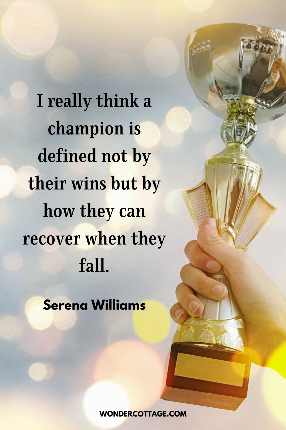I really think a champion is defined not by their wins but by how they can recover when they fall. Serena Williams