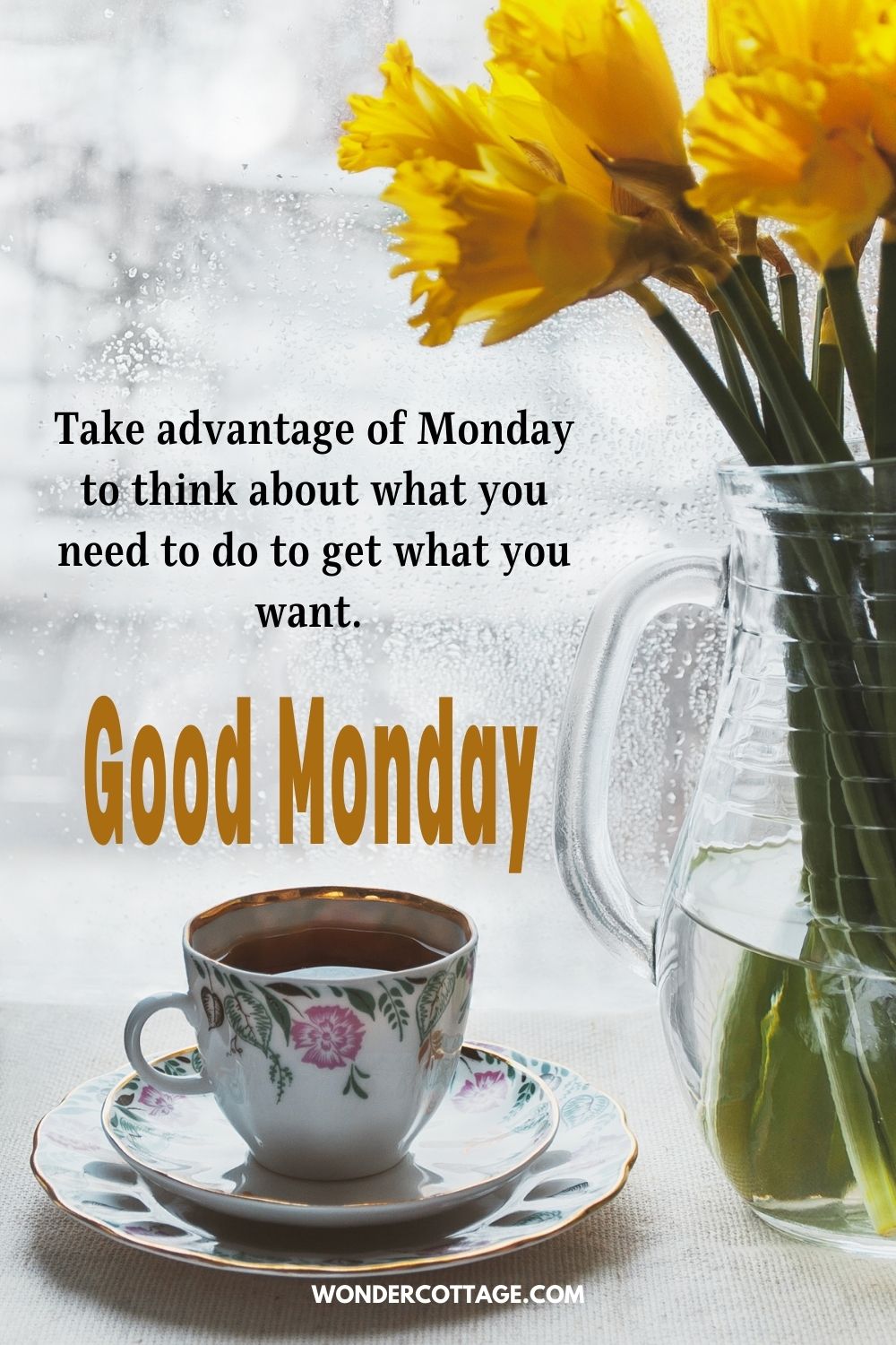 Take advantage of Monday to think about what you need to do to get what you want. Good Morning!