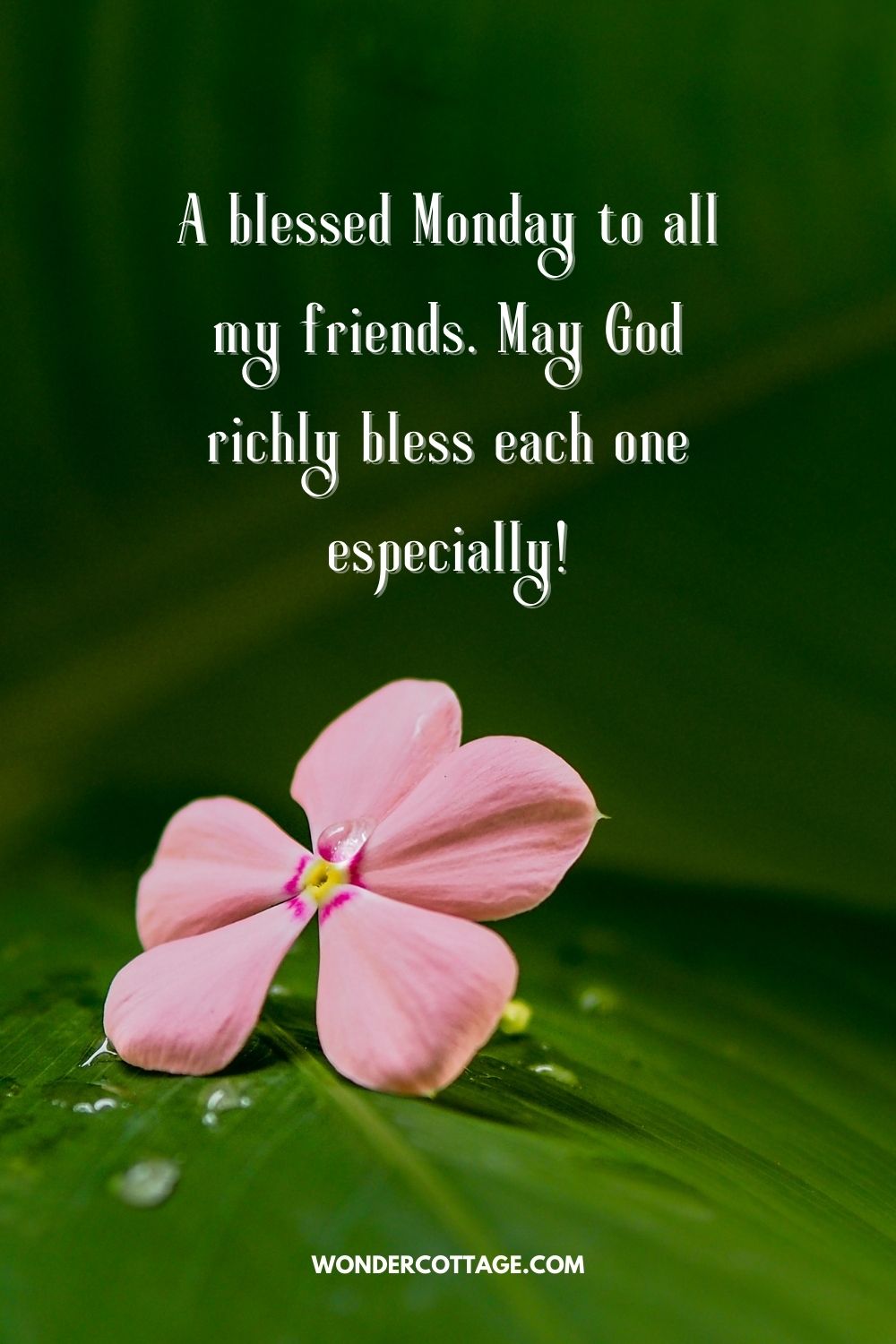 A blessed Monday to all my friends. May God richly bless each one especially!