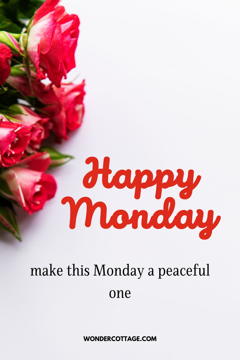 Happy Monday, make this Monday a peaceful one