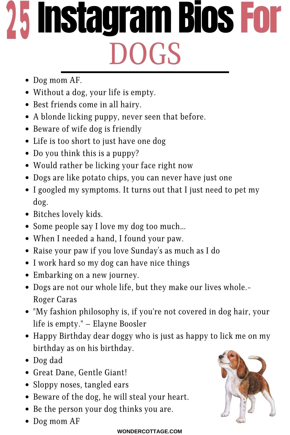 Instagram Bios For Dogs