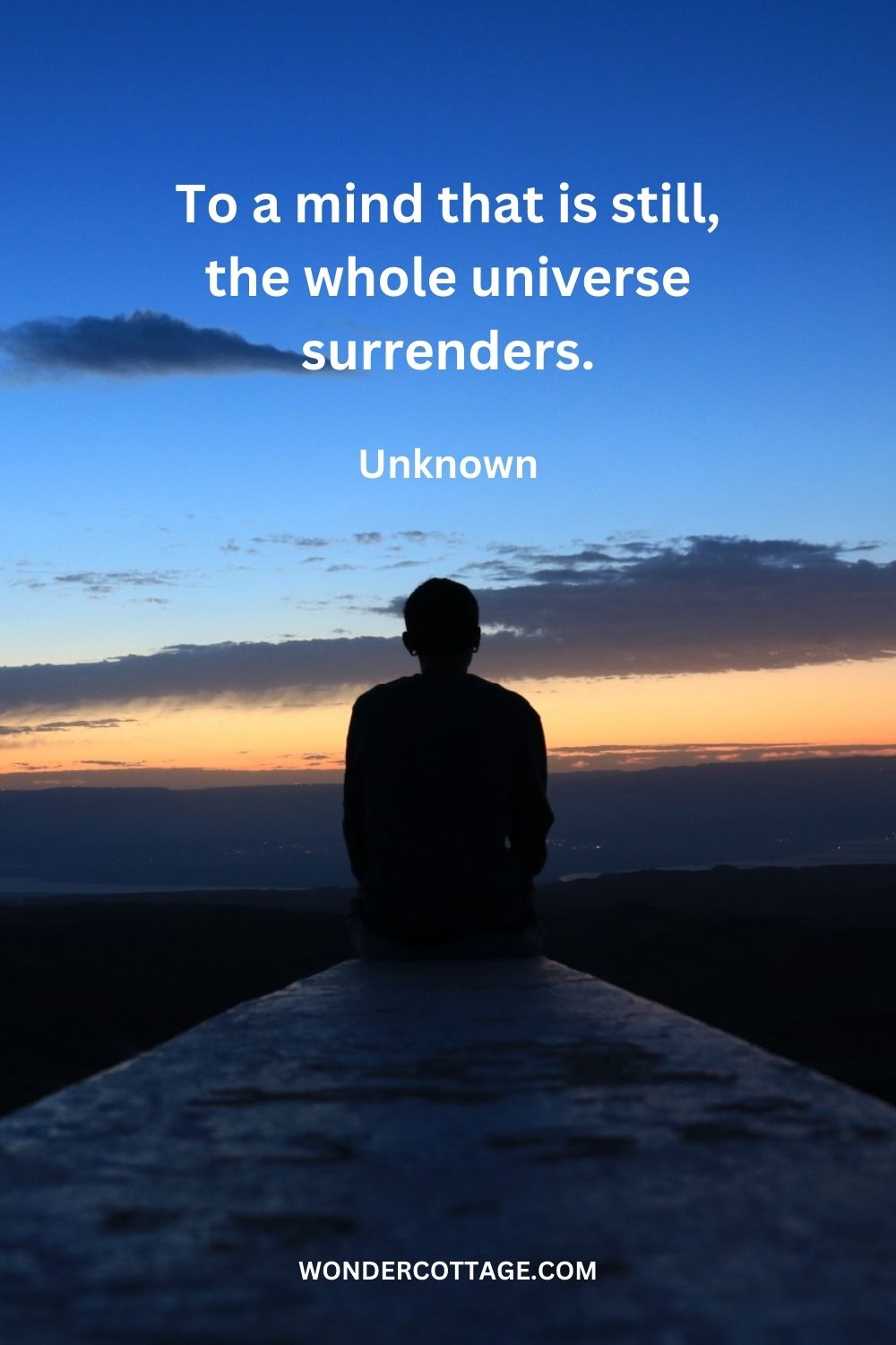 To a mind that is still, the whole universe surrenders. Unknown