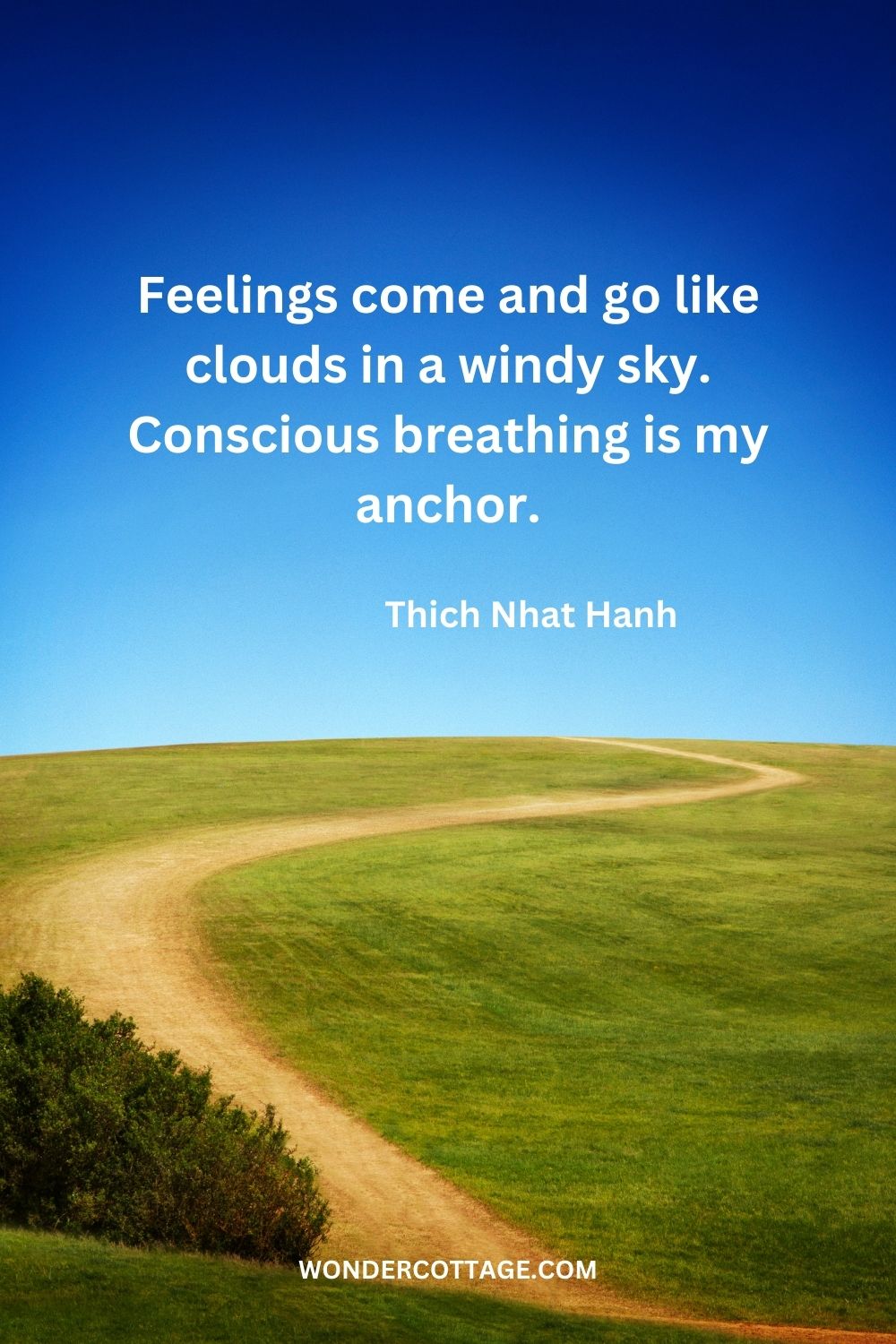 Feelings come and go like clouds in a windy sky. Conscious breathing is my anchor. Thich Nhat Hanh