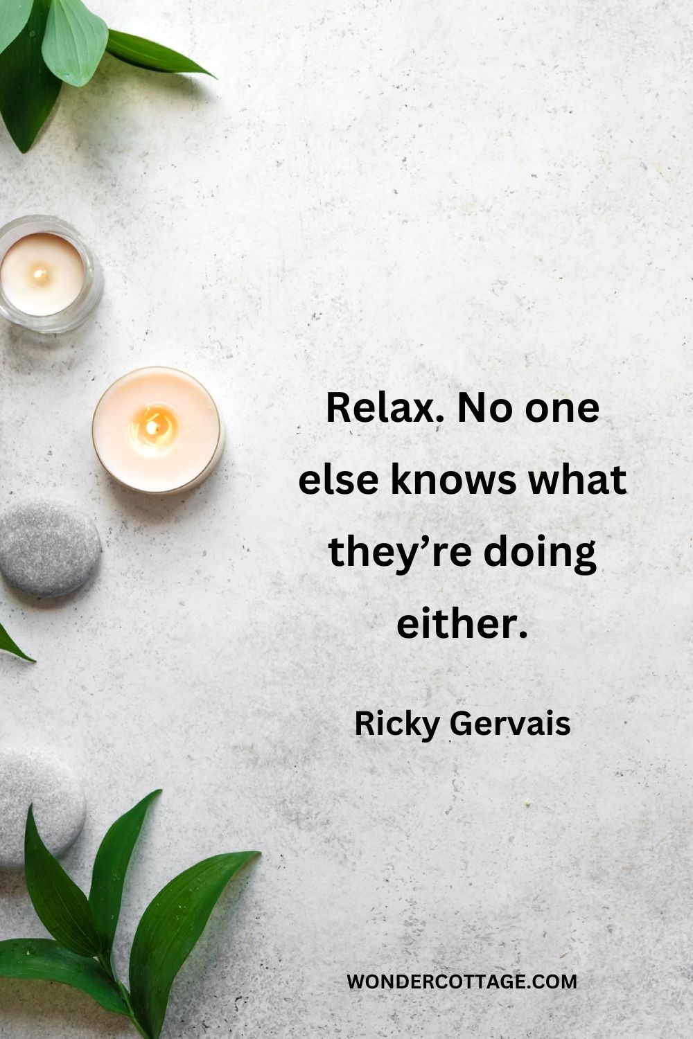 Relax. No one else knows what they’re doing either. Ricky Gervais