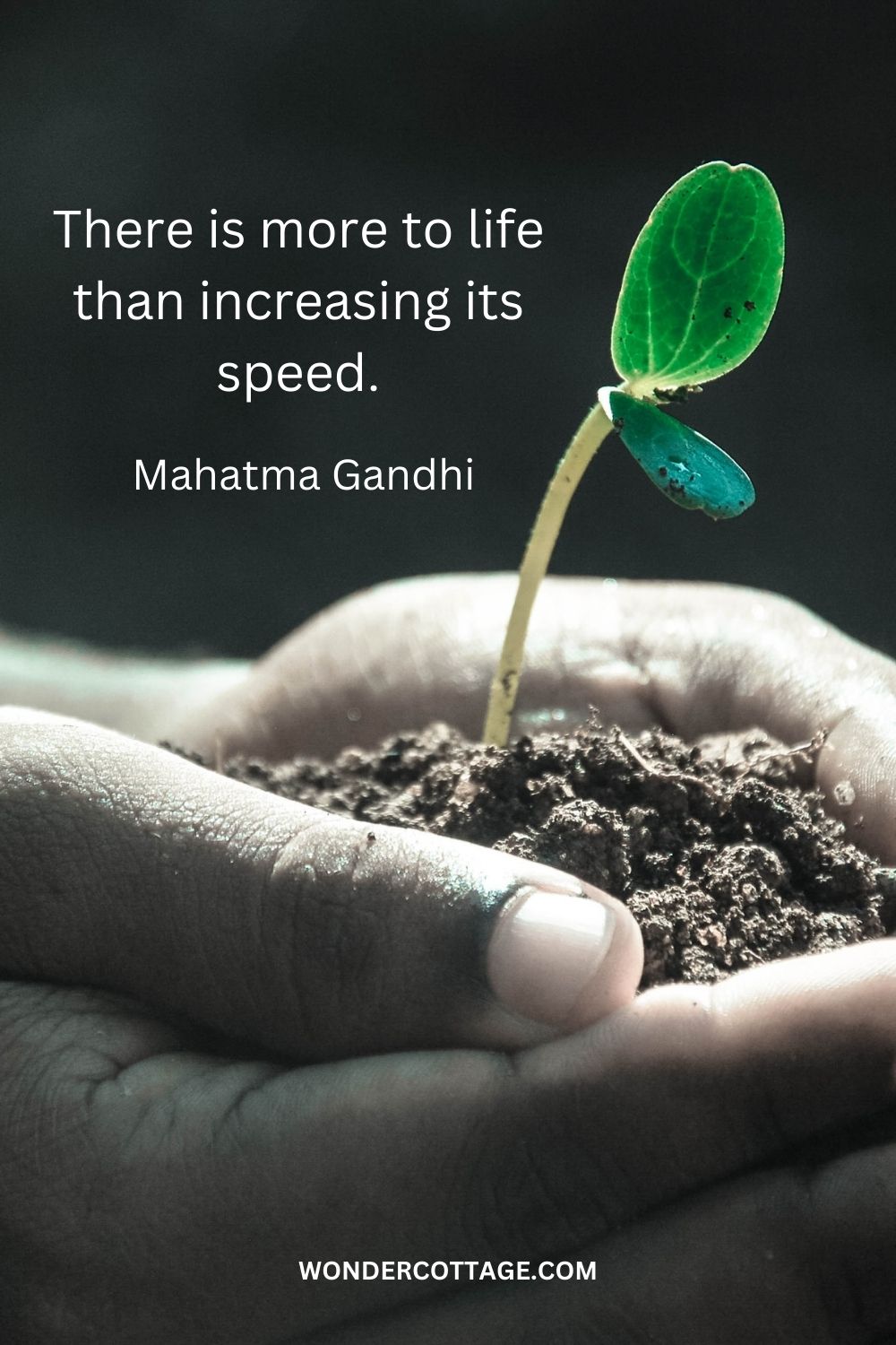 There is more to life than increasing its speed.  Mahatma Gandhi