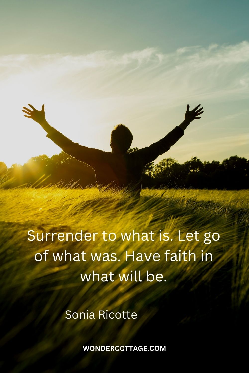 Surrender to what is. Let go of what was. Have faith in what will be. Sonia Ricotte