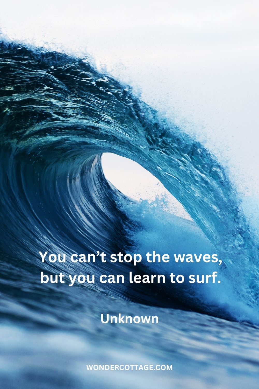 You can’t stop the waves, but you can learn to surf. Unknown