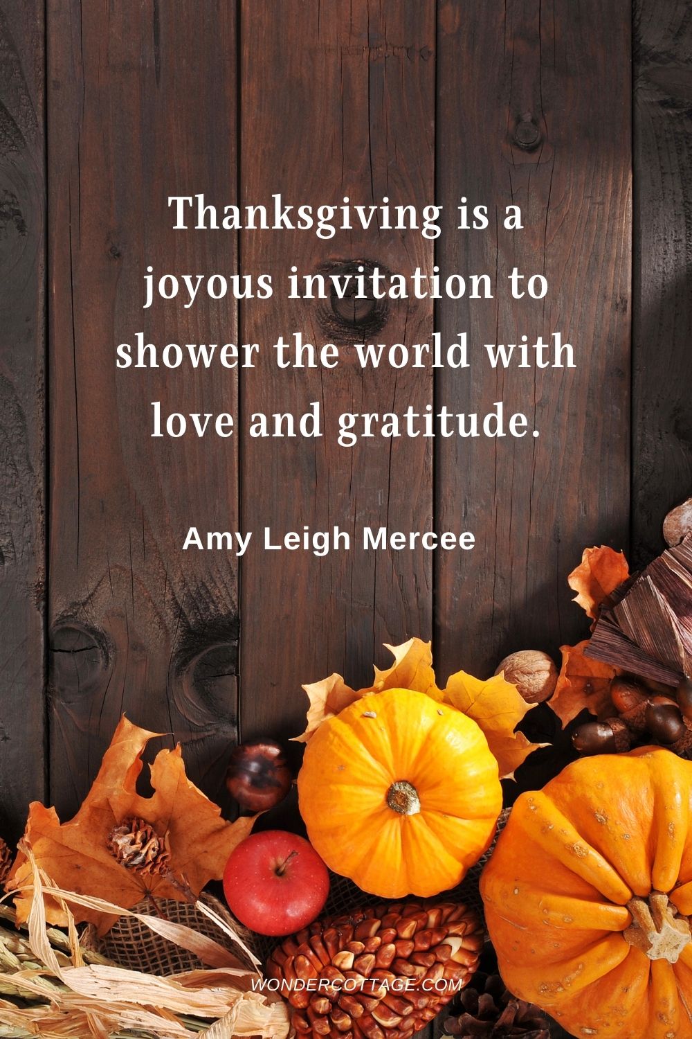 Thanksgiving is a joyous invitation to shower the world with love and gratitude. Amy Leigh Mercee