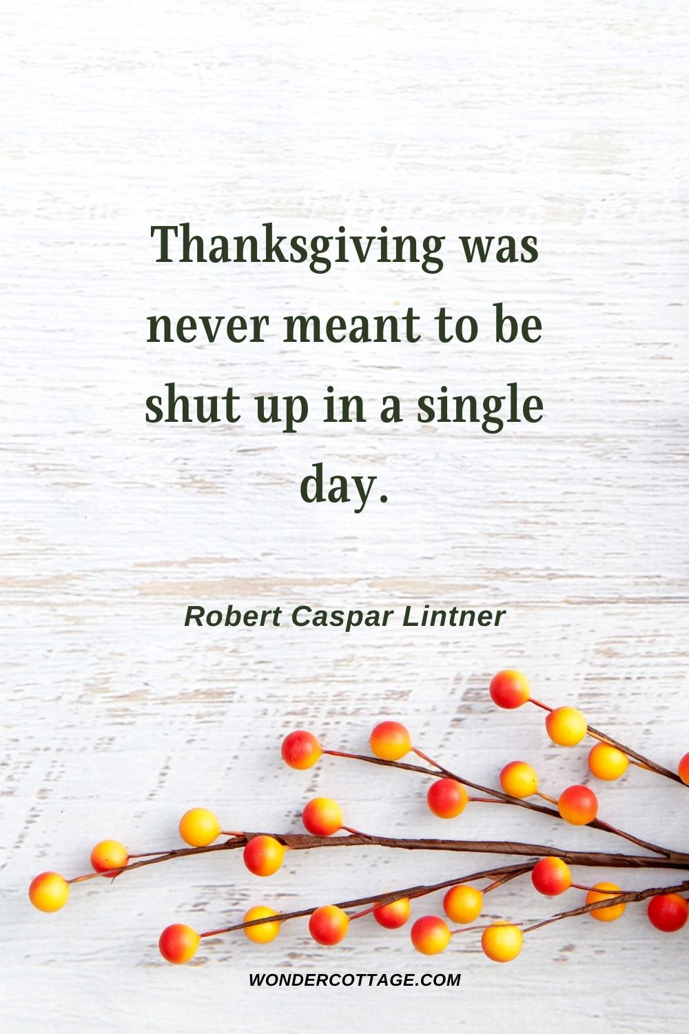 Thanksgiving was never meant to be shut up in a single day. Robert Caspar Lintner - Thanksgiving Quotes With Images