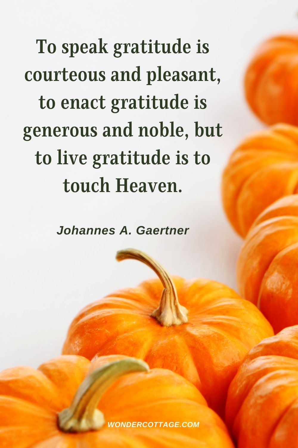 To speak gratitude is courteous and pleasant, to enact gratitude is generous and noble, but to live gratitude is to touch Heaven. Johannes A. Gaertner