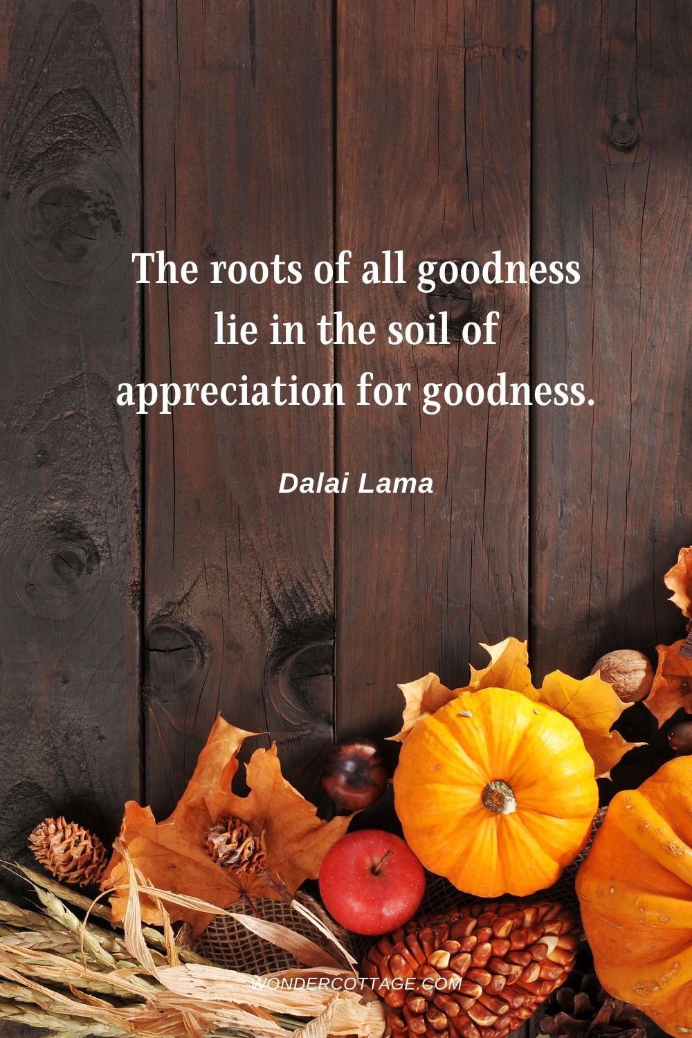 The roots of all goodness lie in the soil of appreciation for goodness. Dalai Lama