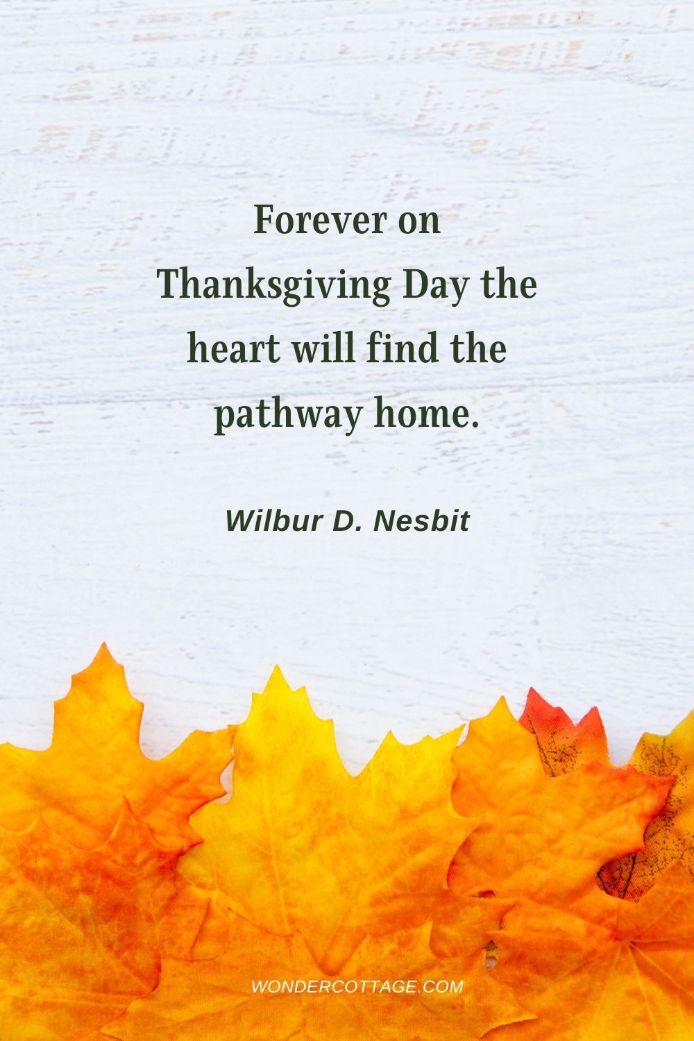 Forever on Thanksgiving Day the heart will find the pathway home. Wilbur D. Nesbit