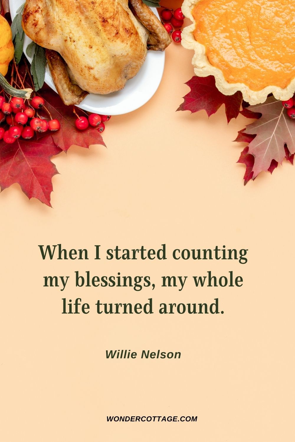 When I started counting my blessings, my whole life turned around. Willie Nelson