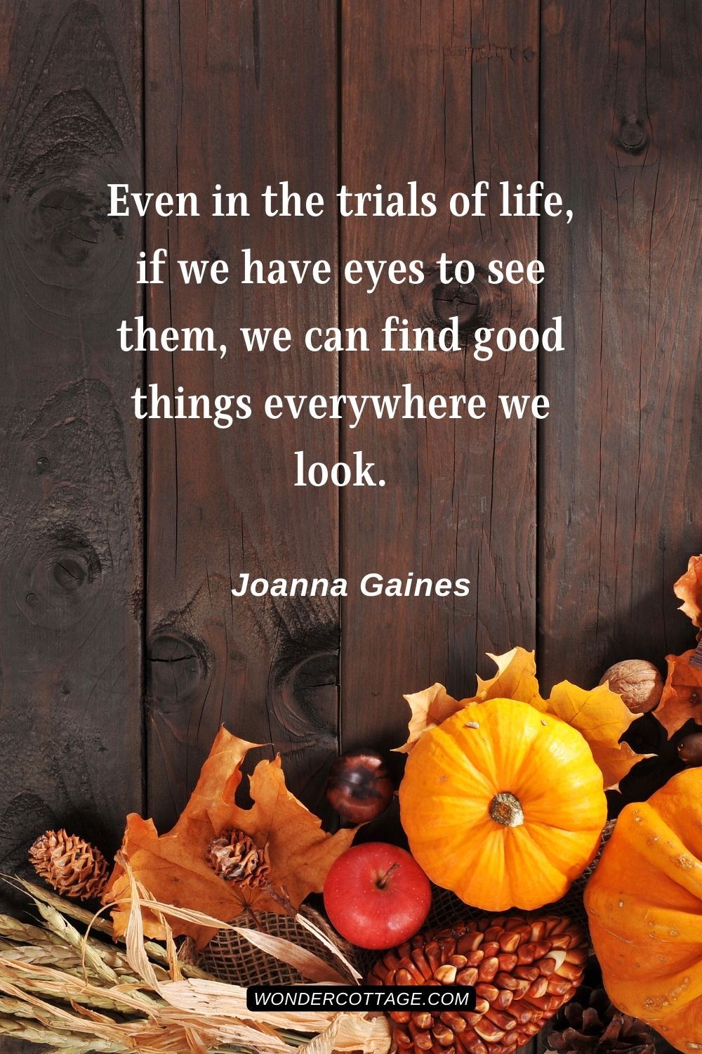 Even in the trials of life, if we have eyes to see them, we can find good things everywhere we look. Joanna Gaines