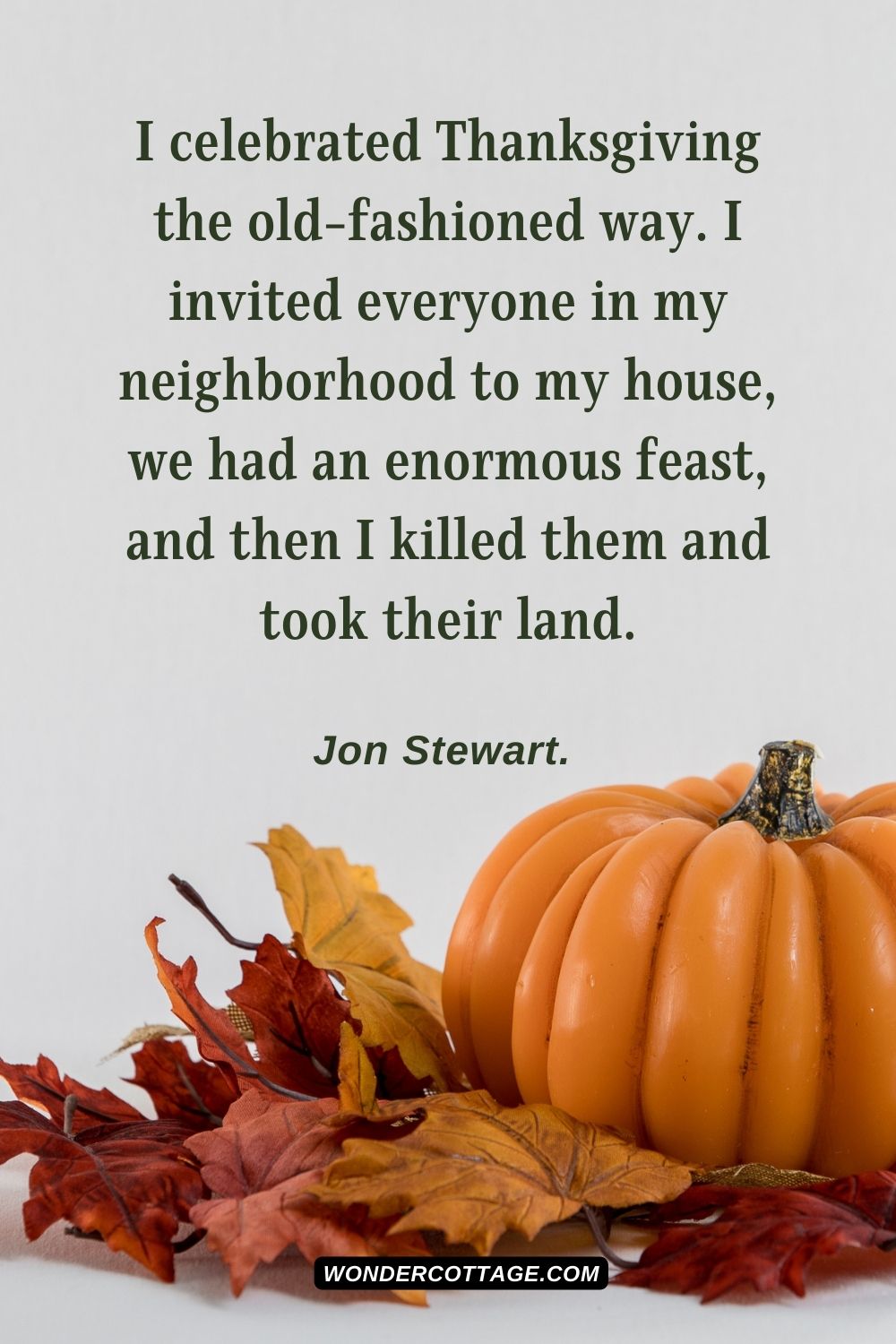 I celebrated Thanksgiving the old-fashioned way. I invited everyone in my neighborhood to my house, we had an enormous feast, and then I killed them and took their land. Jon Stewart. 