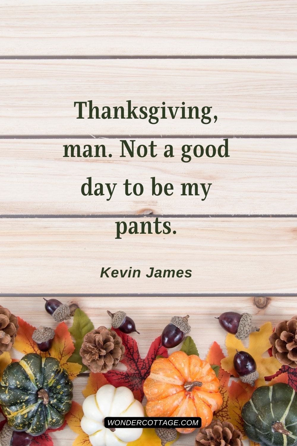 Thanksgiving, man. Not a good day to be my pants. Kevin James