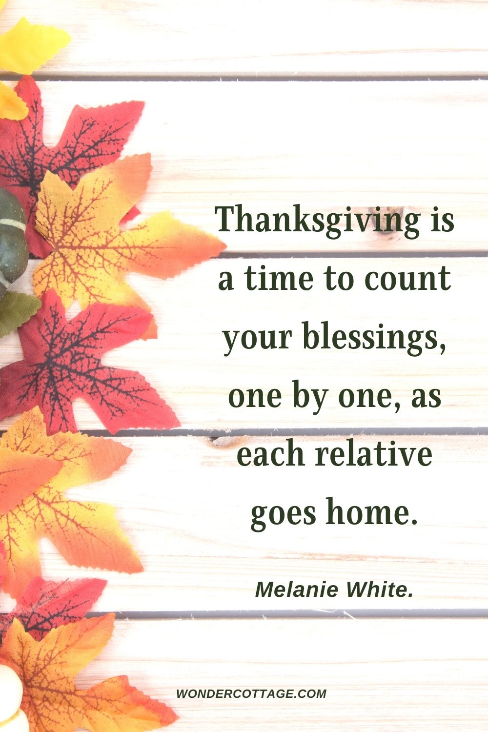 Thanksgiving is a time to count your blessings, one by one, as each relative goes home. Melanie White.