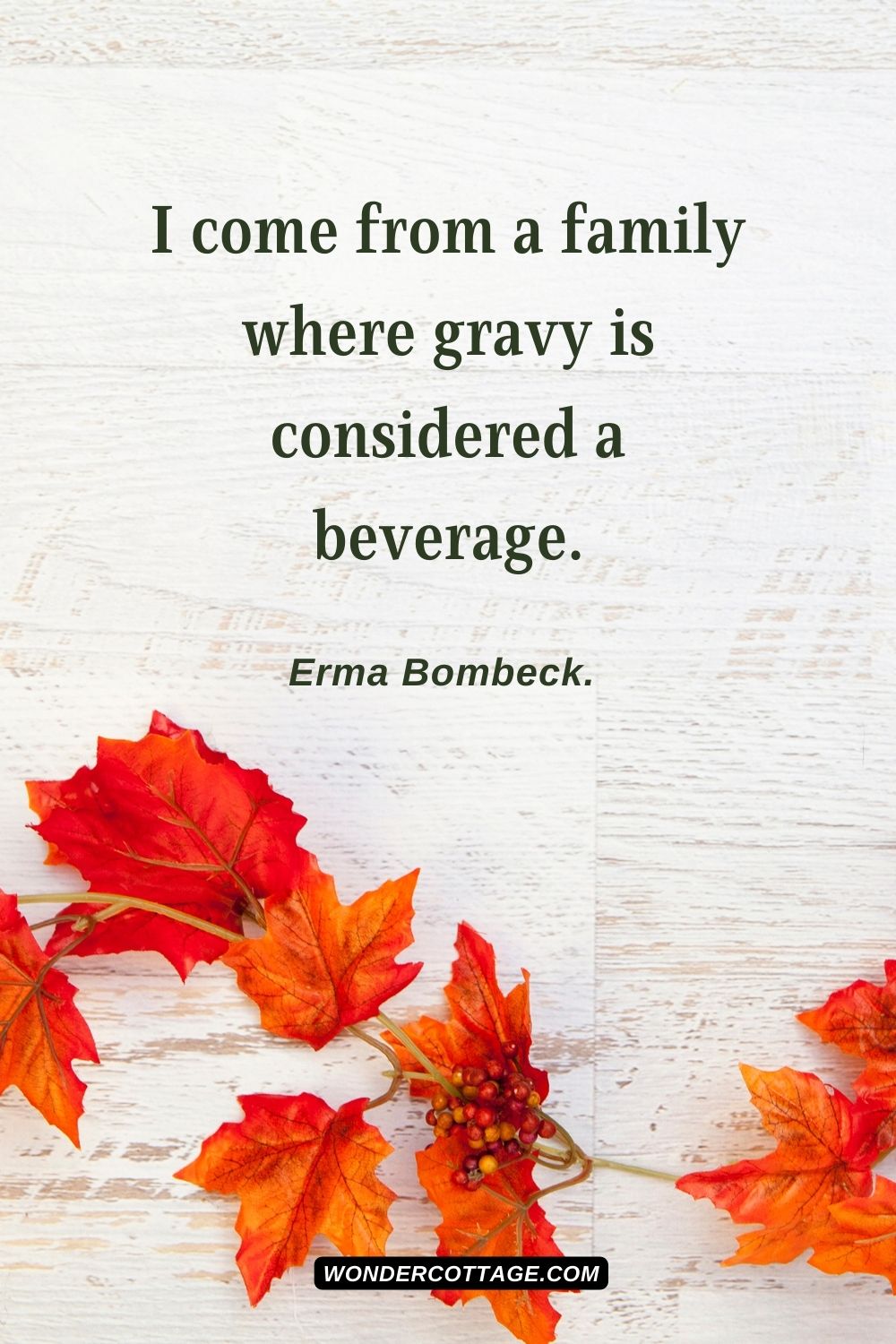 I come from a family where gravy is considered a beverage. Erma Bombeck.