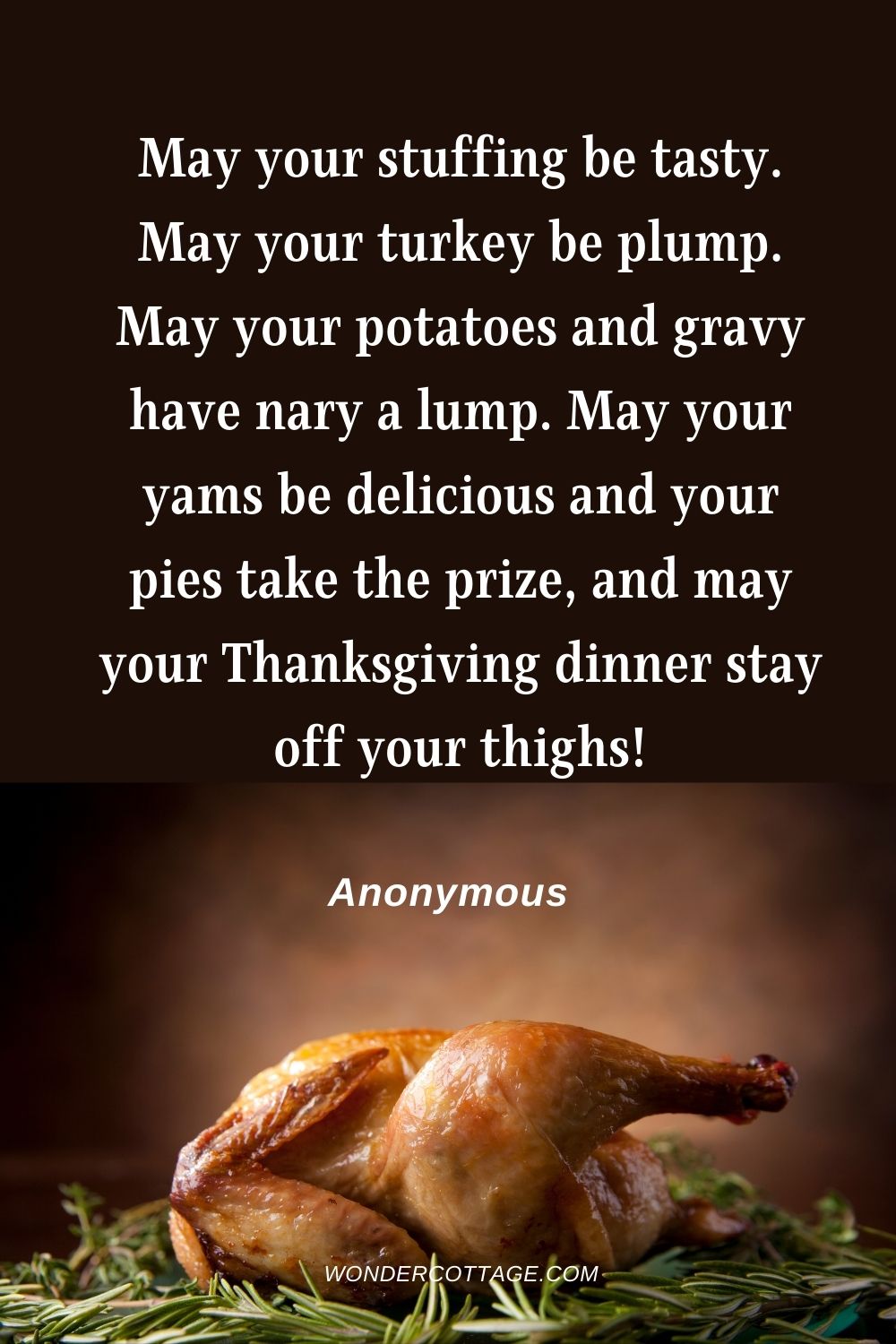 May your stuffing be tasty. May your turkey be plump. May your potatoes and gravy have nary a lump. May your yams be delicious and your pies take the prize, and may your Thanksgiving dinner stay off your thighs! Anonymous.