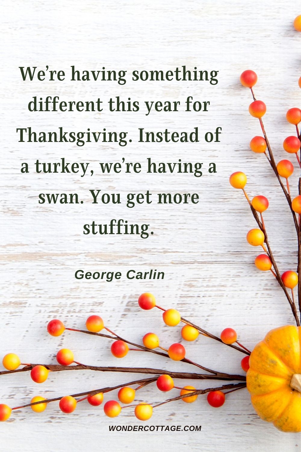 We’re having something different this year for Thanksgiving. Instead of a turkey, we’re having a swan. You get more stuffing. George Carlin